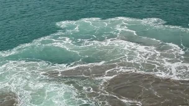 カモメが海の上飛ぶアクアマリン色の海波沸騰し泡船の作業エンジンから — ストック動画