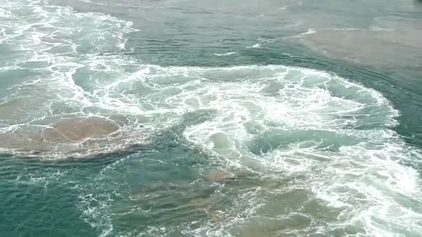 カモメが海の上飛ぶアクアマリン色の海波沸騰し泡船の作業エンジンから — ストック動画