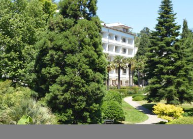 Ağaçların ortasında duran beyaz bina ve özel dinlenme için güzel bir park alanı.