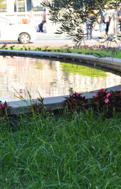 Cenova 'daki deniz istasyonunun önünde çimenli ve göletli bir çeşmenin dikey görüntüsü.