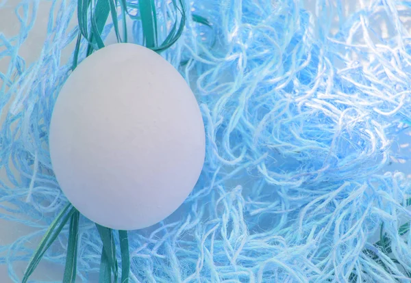 Одно пасхальное яйцо в гнезде на Пасху с голубым тонизирующим эффектом, копировальное место, вид сверху, плоская укладка — стоковое фото