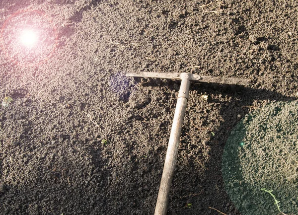 Garden rake lying on plowed black soil for planting-the concept of gardening, spring work in the garden, sun glare — Stock Photo, Image