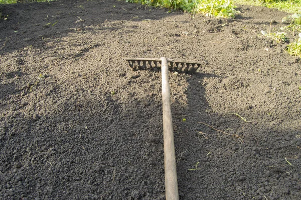 Garden rakes lying on the ploughed topsoil for planting-the concept of gardening, spring gardening, solar light