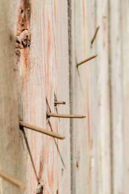 Dikey çekim, koyu eski tahtalar, ahşap doku, vintage ton yüzeyi dışarı yapışan eski paslı çivi yakın çekim