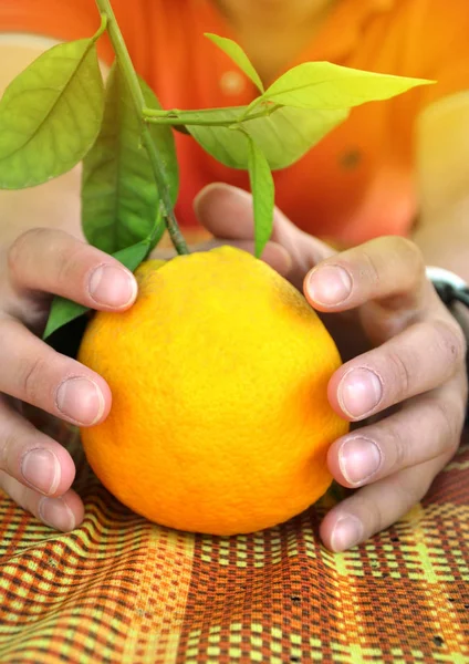 Mandarine, Orange mit Zweig und Blättern zur Hand - fertig für Weihnachten und Winterurlaub zu Hause — Stockfoto