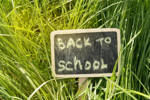 Escrito de vuelta a la escuela, con tiza en una pizarra sobre un fondo de hierba verde, luz solar brillante — Foto de Stock