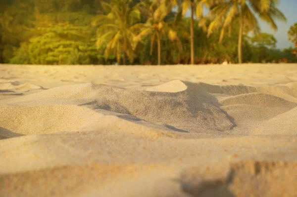 Flou sable, palmiers et plage tropicale fond bokeh, vacances d'été et concept de voyage. Espace de copie, maquette — Photo