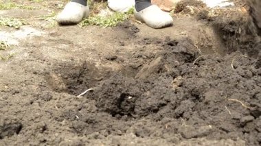 Çiftçi bahçıvan bahçede kürekle toprak kazıyor. Kauçuk ayakkabı ve kürek erkek ayakları yakın çekim