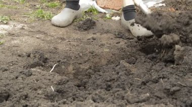 Çiftçi bahçıvan bahçede kürekle toprak kazıyor. Kauçuk ayakkabı ve kürek erkek ayakları yakın çekim