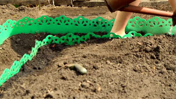 Mujer Jardinero Regando Cama Usando Una Regadera Primer Plano Pies — Vídeo de stock