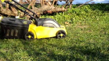 Bahçesinde çalışan şortla çalışan bir adam çimleri biçmek için elektrikli çim biçme makinesi kullanıyor. Güneşli yaz günü