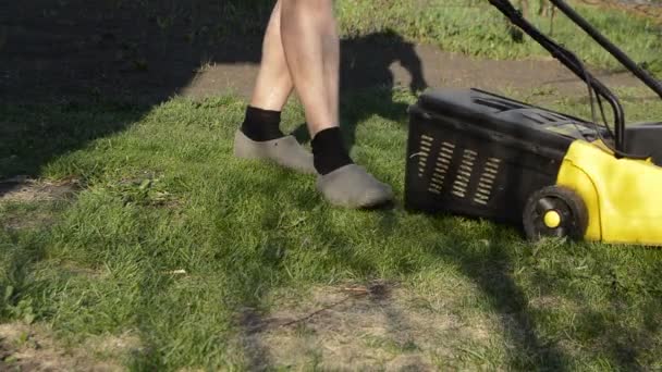 Un hombre en pantalones cortos trabajando en su jardín, usando una cortadora de césped eléctrica para cortar el césped. Día soleado de verano — Vídeos de Stock