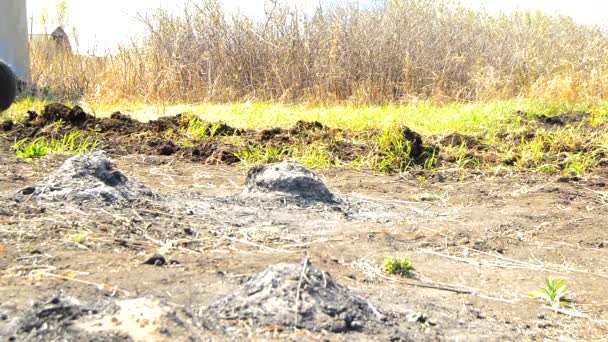 Vintage tractor arados campo agrícola para proteger contra el fuego, el viento lleva humo y ceniza — Vídeos de Stock