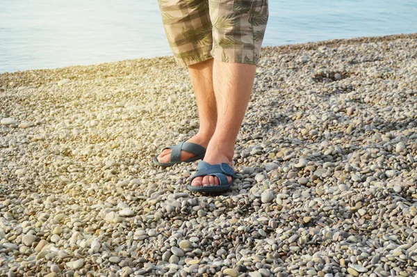 Men\'s feet in flip-flops and shorts, a man standing on the beach on a pebble beach, sunrise in the morning