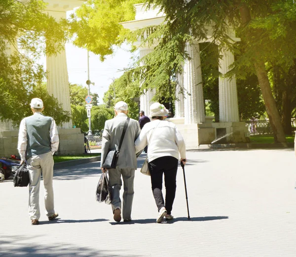 Вид ззаду на щасливу старшу пару зі своїм другом пенсіонером під час прогулянки в парку — стокове фото