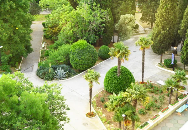 Vista superior de los hermosos jardines con palmeras del parque tropical en el hotel — Foto de Stock