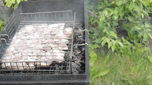 그릴에 고기의 바베큐를 준비합니다 화창한 여름날 피크닉을 돼지고기를 그릴을 돌린다 — 비디오