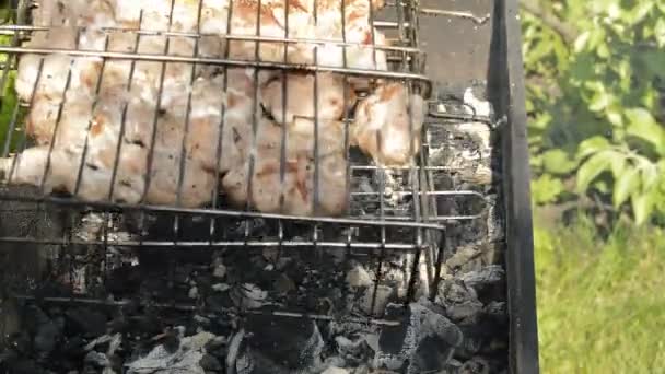 Preparar Una Barbacoa Carne Cruda Parrilla Picnic Día Soleado Verano — Vídeo de stock