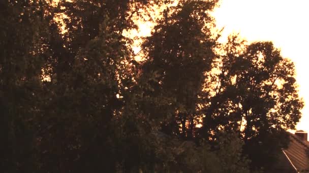 Zlaté Světlo Západu Slunce Prochází Listím Stromů Protisvětlem Starým Domem — Stock video