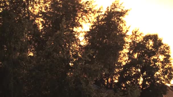 Zlaté Světlo Západu Slunce Prochází Listím Stromů Protisvětlem Starým Domem — Stock video