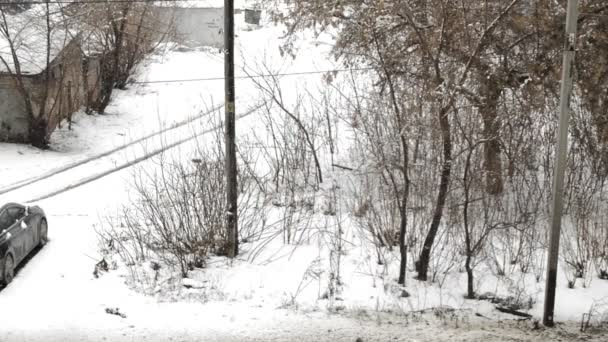 Einem Regnerischen Winter Oder Herbsttag Fällt Nasser Schnee Und Regen — Stockvideo