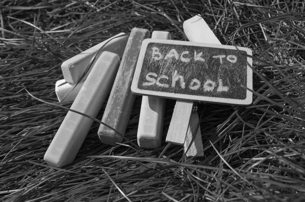 Monokróm, fekete-fehér, vissza az iskolába, a felirat a mini-Board, az elrendezés a testület és kréta a zöld fű, a koncepció a felkészülés az iskolába. Lemezterület másolása — Stock Fotó