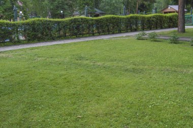 Park yeşil çim ile yol ve çim boyunca Çit, yaz aylarında şehir Park'ta doğal manzarası