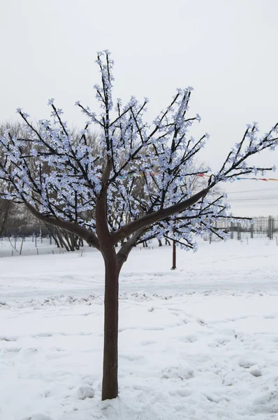 Dekoráció télen parkban a nagy ünnep karácsony és újév. Modern telepítés-mesterséges fa díszített ünnepi füzér LED lámpák szabadban homályos háttér, vertikális fotózás — Stock Fotó