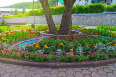Renkli dekoratif çiçekler ve bitkiler ile Yuvarlak çiçek yatak, bahçe tezgah kaldırım fayans, şehir Park güzel bir rekreasyon alanı üzerinde duruyor
