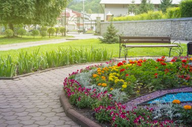 Renkli dekoratif çiçekler ve bitkiler ile Yuvarlak çiçek yatak, bahçe tezgah kaldırım fayans, şehir Park güzel bir rekreasyon alanı üzerinde duruyor
