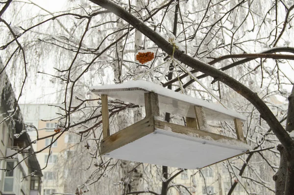 Une mangeoire à oiseaux en bois recouverte de neige est suspendue à un arbre dans le paysage urbain, à l'extérieur — Photo