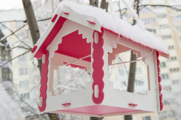 Mangeoire à oiseaux en plastique rouge recouverte de neige accrochée à un arbre dans un paysage urbain, à l'extérieur — Photo