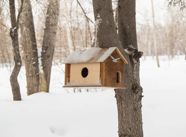 Maison en bois pour les oiseaux dans les bois sous la neige. Des nichoirs pour nourrir les oiseaux et les écureuils en hiver dans le parc — Photo