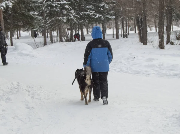 Hombre y su perro pasean en invierno Parque en la nieve pesada, vista trasera, cuidado de mascotas — Foto de Stock