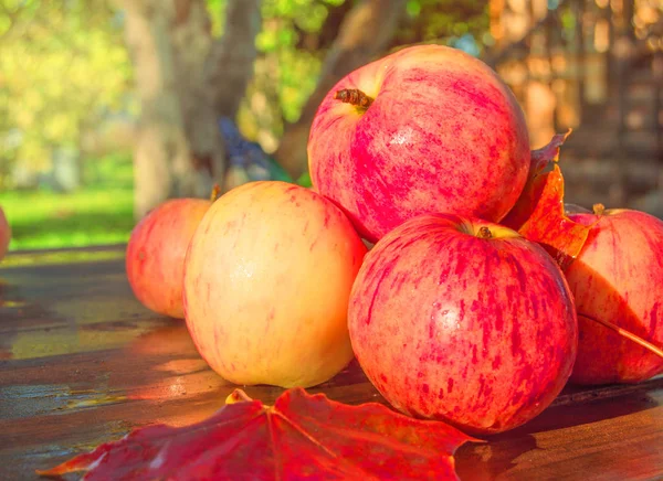 Pile de pommes mûres rouges avec des feuilles d'érable sur fond en bois à l'extérieur dans le jardin, fond lumineux et flou des arbres et de l'herbe le jour ensoleillé d'automne, l'action de grâce et la récolte — Photo