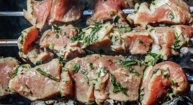 Terbiye edilmiş et, açık havada metal bir şişte kızartılmış, bir yaz günü, kömürden çıkan duman, piknik konsepti....