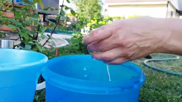 Uma mulher mãos limpar um rabanete vermelho lavado limpo com uma faca, contra o fundo de um jardim, ao ar livre, em um dia ensolarado de verão, cozinhar legumes para a comida — Vídeo de Stock