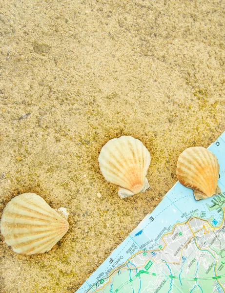Go travel after the quarantine. Shells and geographical map on the sand, top view. the concept of recreation in travel, adventure and sea travel.