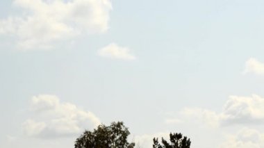 Bulutlu gökyüzünün arka planında bir helikopter, bir eğitim uçuşu