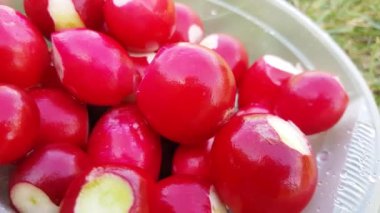 Güneşli bir yaz gününde yeşil çimlerin üzerinde temiz yıkanmış bir turpla tek kullanımlık plastik bir tabağın yakın çekimi, piknik.