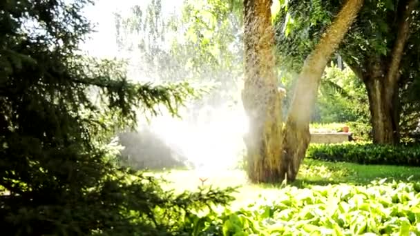 Spryskiwacz do podlewania ogrodu w słoneczny dzień, jasne światło słoneczne w południe, HD VIDEO — Wideo stockowe