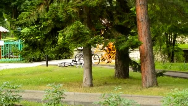 Una coppia felice oscilla su un'altalena nel parco in una giornata estiva soleggiata, due biciclette sono una accanto all'altra sull'erba, l'altalena è visibile attraverso i tronchi d'albero sullo sfondo. VIDEO HD — Video Stock