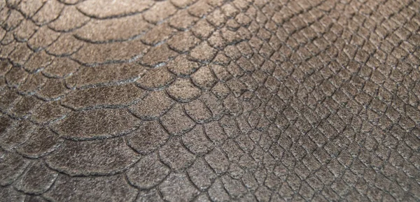 Texture Skin Crocodile Snake Luxury Banner — Stock Photo, Image