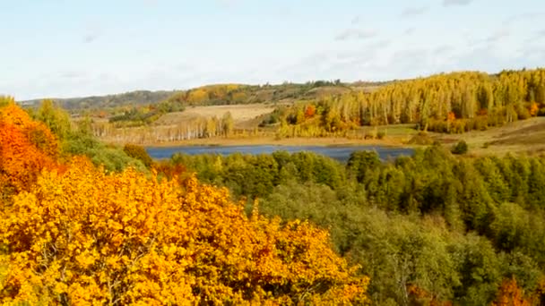 Prachtig Uitzicht Herfstlandschap Met Gele Bomen Heuvels Meer Weiden Huizen — Stockvideo