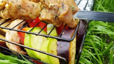 Şişte çiğ domuz eti ve ızgarada sebzeler barbekü, piknik, yaz günü için hazır.