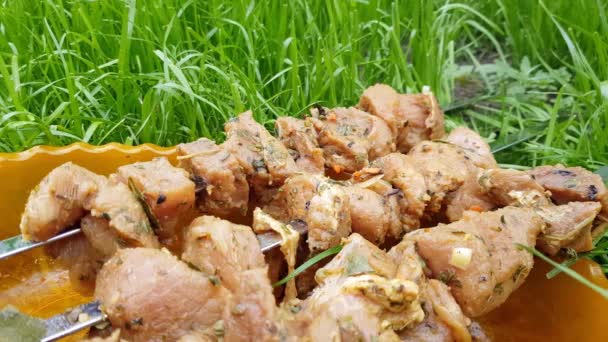 Carne Fresca Cerdo Cruda Encordada Pincho Para Cocinar Sobre Carbones — Vídeos de Stock