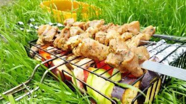 Şişte çiğ domuz eti ve ızgarada sebzeler barbekü, piknik, yaz günü için hazır.