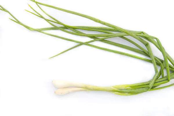 Bunch Green Onion Isolated White Background — Stock Photo, Image