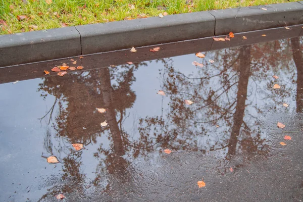 Asphalt pavement with a curb, wet from the rain — Stock Photo, Image