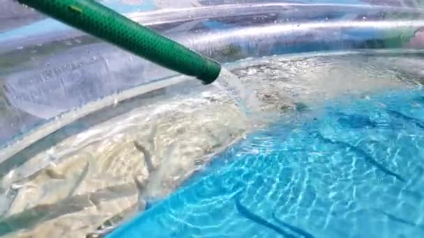 El agua fluye desde la manguera hacia la piscina inflable de llenado. Día soleado de verano, al aire libre — Vídeos de Stock